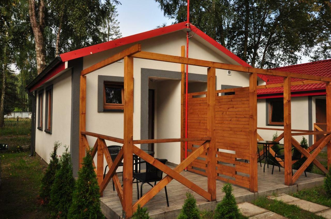 Nowe Komfortowe Domki Albatros Łeba Esterno foto